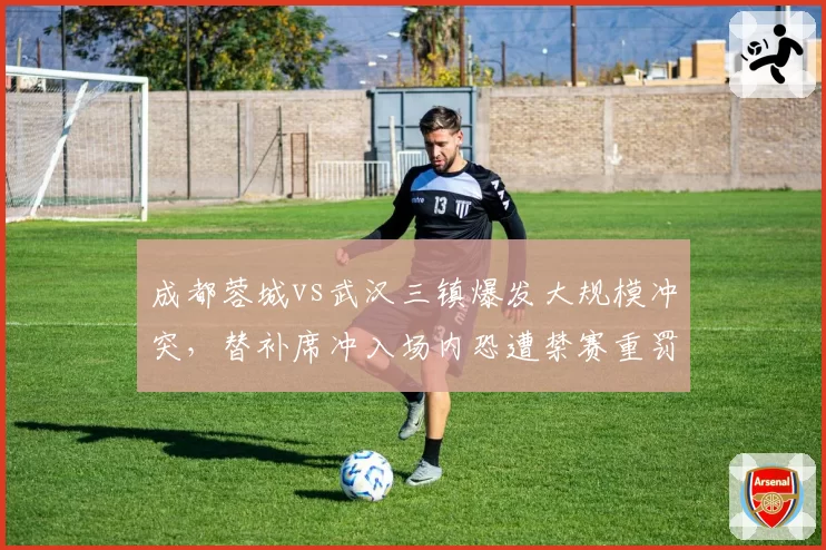 成都蓉城vs武汉三镇爆发大规模冲突,替补席冲入场内恐遭禁赛重罚?